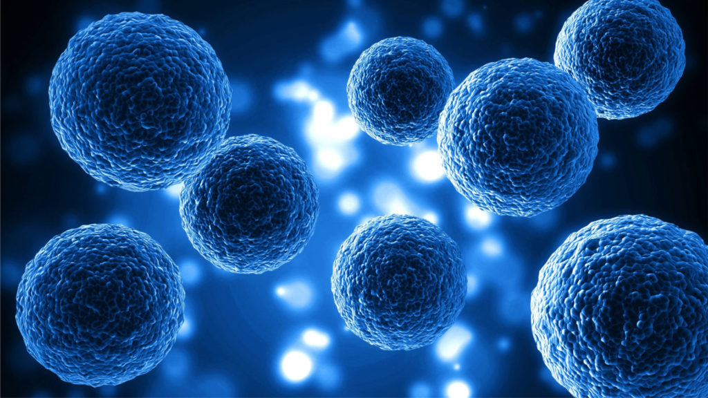 EXOSOMES?!