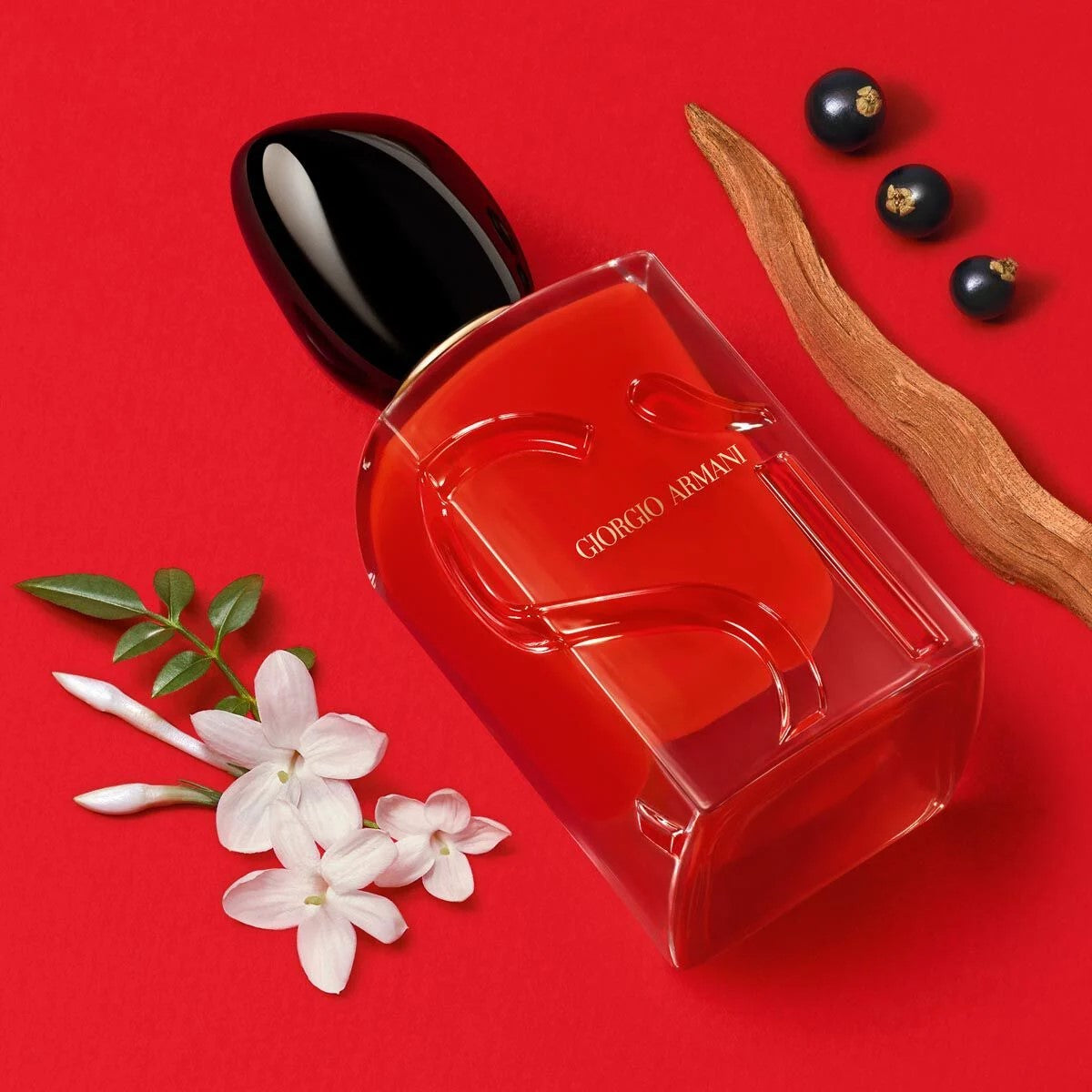 Sì Passione perfume surrounded by roses and jasmine – feminine floral scent
