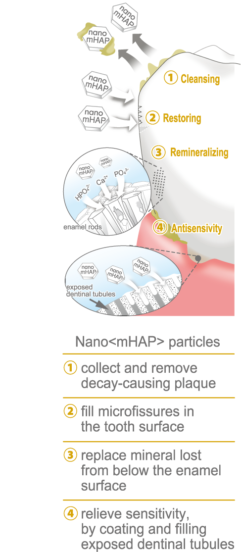 APAGARD® PREMIO toothpaste